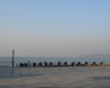 DSC00817.jpg