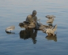DSC00844.jpg