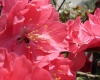 DSC03825.jpg