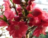 DSC03829.jpg