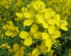 DSC04014.jpg