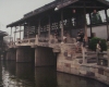 DSC04454.jpg
