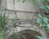 DSC04463.jpg